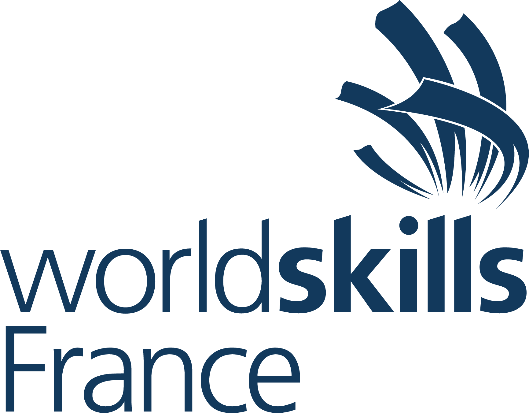 Logo World Skills